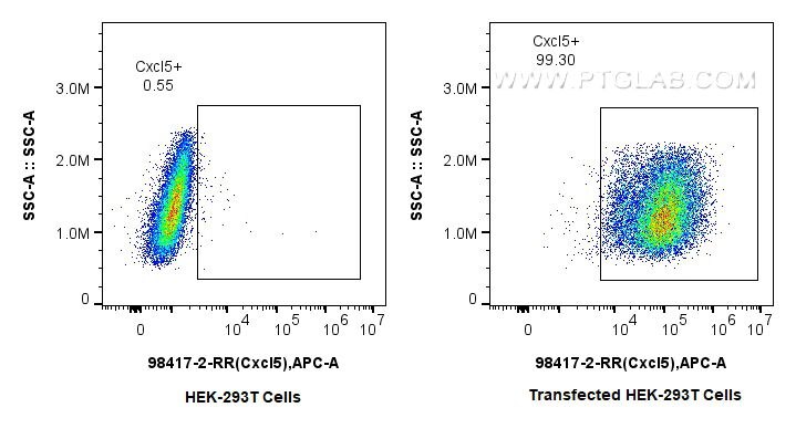 Flow cytometry (FC) experiment of Transfected HEK-293T cells using Anti-Mouse CXCL5 Rabbit Recombinant Antibody (98417-2-RR)