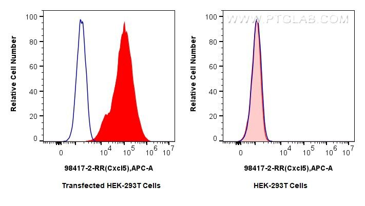 Flow cytometry (FC) experiment of Transfected HEK-293T cells using Anti-Mouse CXCL5 Rabbit Recombinant Antibody (98417-2-RR)