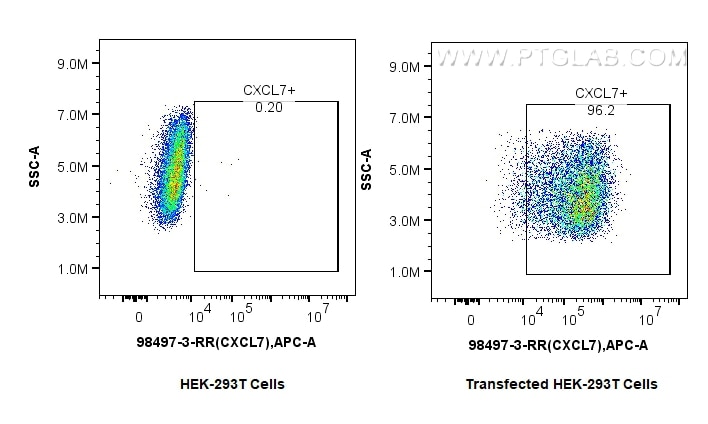 FC experiment of Transfected HEK-293T using 98497-3-RR Flow cytometry (FC) experiment of Transfected HEK-293T cells using Anti-Rat CXCL7/PPBP Rabbit Recombinant Antibody (98497-3-RR)