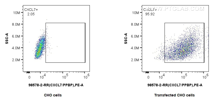 Flow cytometry (FC) experiment of Transfected CHO using Anti-Human CXCL7/PPBP Rabbit Recombinant Antibody (98578-2-RR)