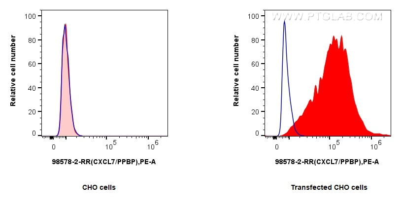 Flow cytometry (FC) experiment of Transfected CHO using Anti-Human CXCL7/PPBP Rabbit Recombinant Antibody (98578-2-RR)