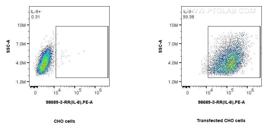 FC experiment of Transfected CHO using 98689-3-RR Flow cytometry (FC) experiment of Transfected CHO using Anti-Canine CXCL8/IL-8 Rabbit Recombinant Antibody (98689-3-RR)