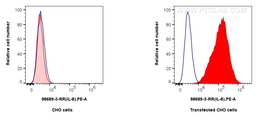 FC experiment of Transfected CHO using 98689-3-RR Flow cytometry (FC) experiment of Transfected CHO using Anti-Canine CXCL8/IL-8 Rabbit Recombinant Antibody (98689-3-RR)