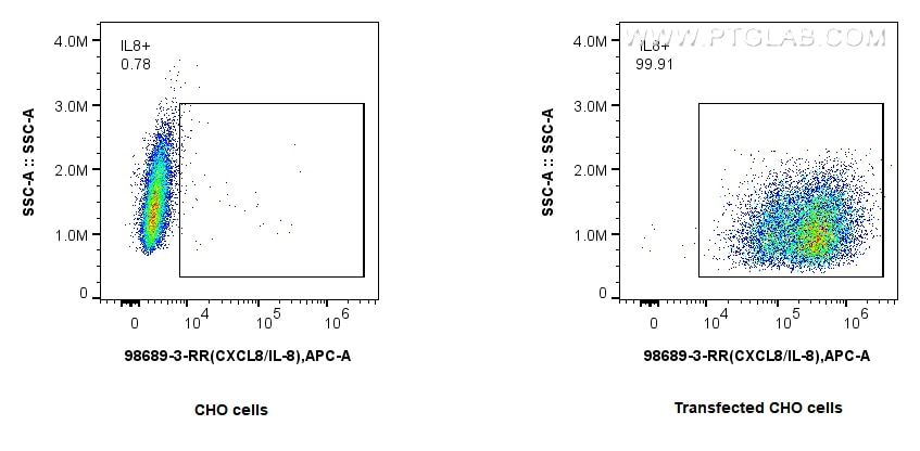 FC experiment of Transfected CHO cells using 98689-3-RR Flow cytometry (FC) experiment of Transfected CHO cells using Anti-Canine CXCL8/IL-8 Rabbit Recombinant Antibody (98689-3-RR)