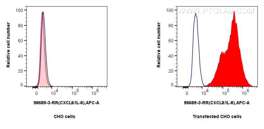 FC experiment of Transfected CHO cells using 98689-3-RR Flow cytometry (FC) experiment of Transfected CHO cells using Anti-Canine CXCL8/IL-8 Rabbit Recombinant Antibody (98689-3-RR)