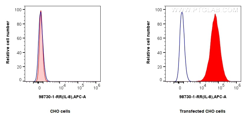 FC experiment of Transfected CHO using 98730-1-RR Flow cytometry (FC) experiment of Transfected CHO using Anti-Pig CXCL8/IL-8 Rabbit Recombinant Antibody (98730-1-RR)