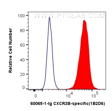 Flow cytometry (FC) experiment of U-937 cells using CXCR3B-specific Monoclonal antibody (60065-1-Ig)