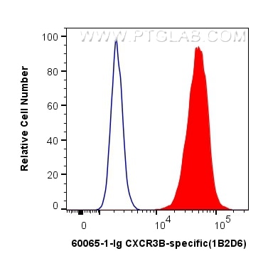 FC experiment of U-937 using 60065-1-Ig