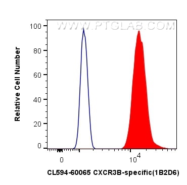 FC experiment of U-937 using CL594-60065