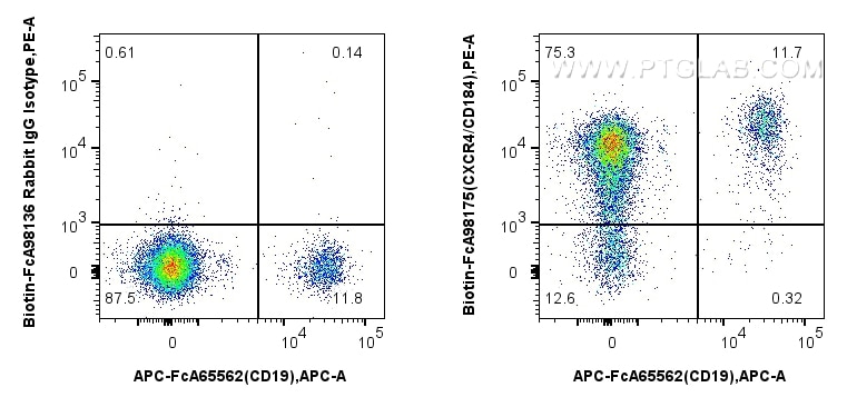 Flow cytometry (FC) experiment of human PBMCs using FcZero-rAb® Biotin Anti-Human CXCR4/CD184 Rabbit R (Biotin-FcA98175)