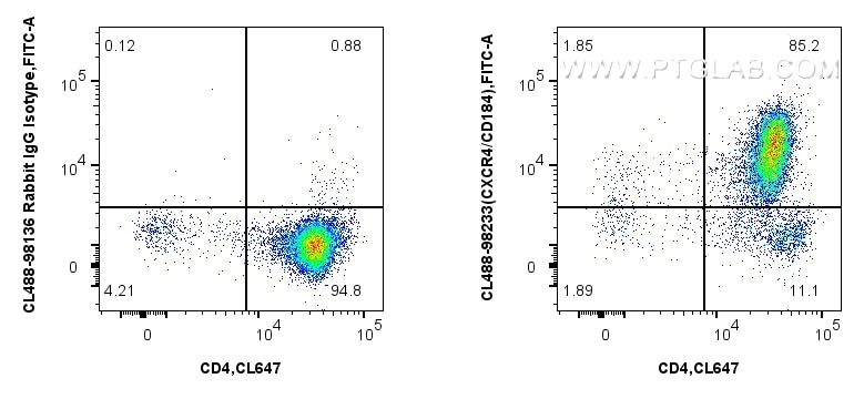 FC experiment of mouse thymocytes using CL488-98233 Flow cytometry (FC) experiment of mouse thymocytes using CoraLite® Plus 488 Anti-Mouse CXCR4/CD184 Rabbit R (CL488-98233)