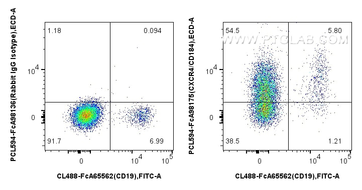 FC experiment of human PBMCs using PCL594-FcA98175 Flow cytometry (FC) experiment of human PBMCs using FcZero-rAb® PE-CoraLite® Plus 594 Anti-Human CXCR4 (PCL594-FcA98175)