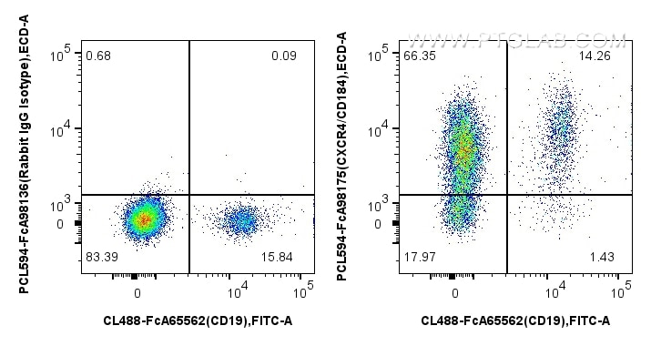 Flow cytometry (FC) experiment of human PBMCs using FcZero-rAb® PE-CoraLite® Plus 594 Anti-Human CXCR4 (PCL594-FcA98175)