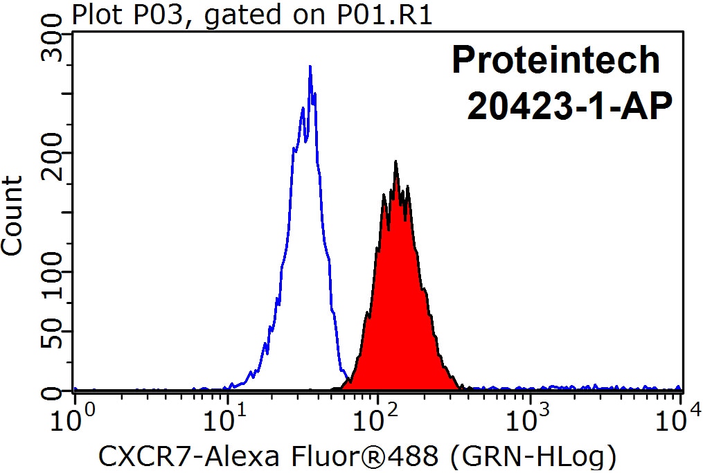 Flow cytometry (FC) experiment of Raji cells using CXCR7 Polyclonal antibody (20423-1-AP)