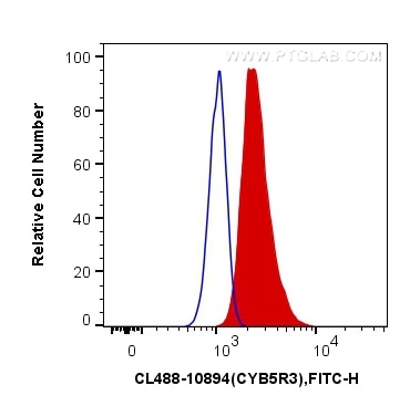 Flow cytometry (FC) experiment of HeLa cells using CoraLite® Plus 488-conjugated CYB5R3 Polyclonal an (CL488-10894)