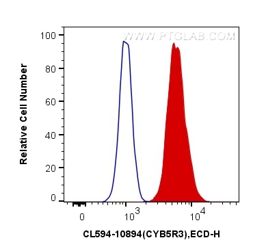 Flow cytometry (FC) experiment of HeLa cells using CoraLite®594-conjugated CYB5R3 Polyclonal antibody (CL594-10894)