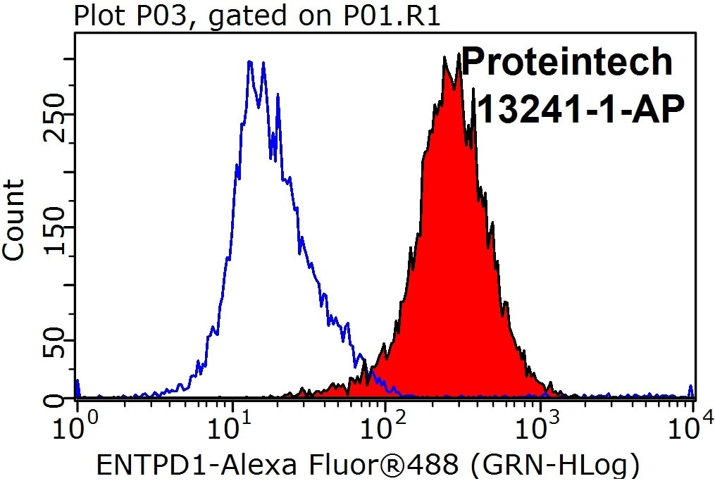 Flow cytometry (FC) experiment of Jurkat cells using CYP1A1 Polyclonal antibody (13241-1-AP)