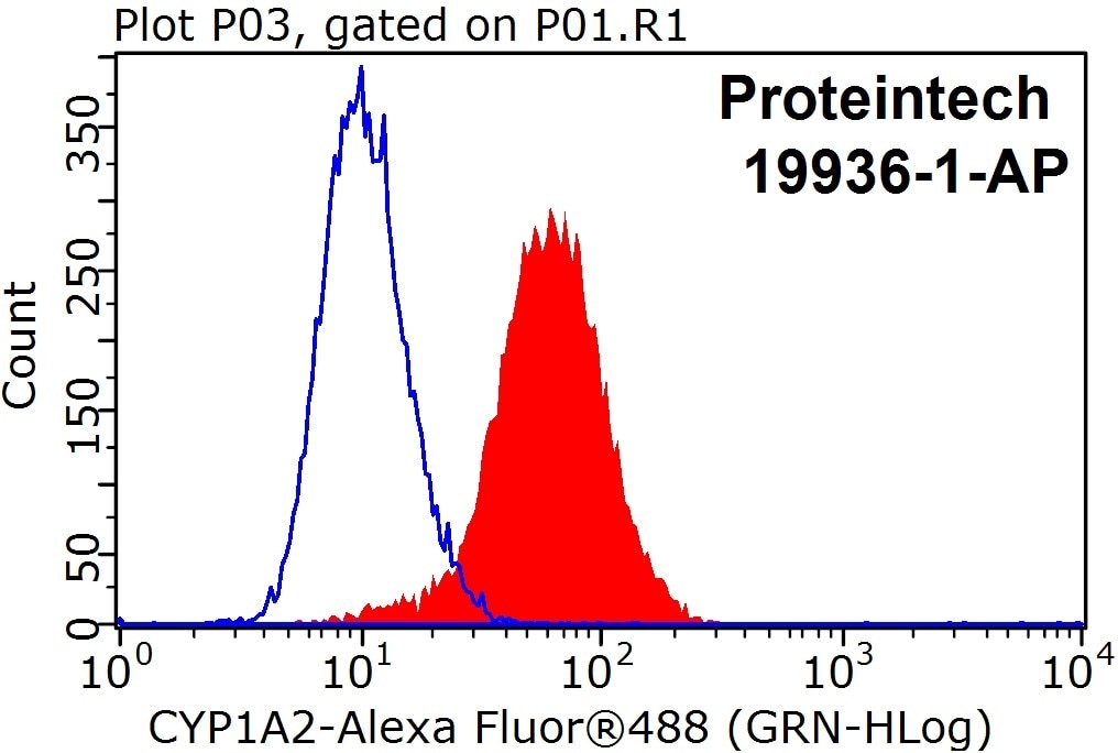 Flow cytometry (FC) experiment of HeLa cells using CYP1A2-Specific Polyclonal antibody (19936-1-AP)