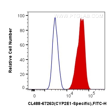 Flow cytometry (FC) experiment of HeLa cells using CoraLite® Plus 488-conjugated CYP2E1-Specific Mono (CL488-67263)