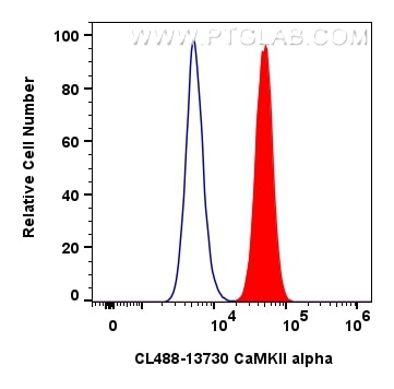 Flow cytometry (FC) experiment of SH-SY5Y cells using CoraLite® Plus 488-conjugated CaMKII alpha Polyclo (CL488-13730)