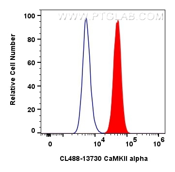 FC experiment of SH-SY5Y using CL488-13730