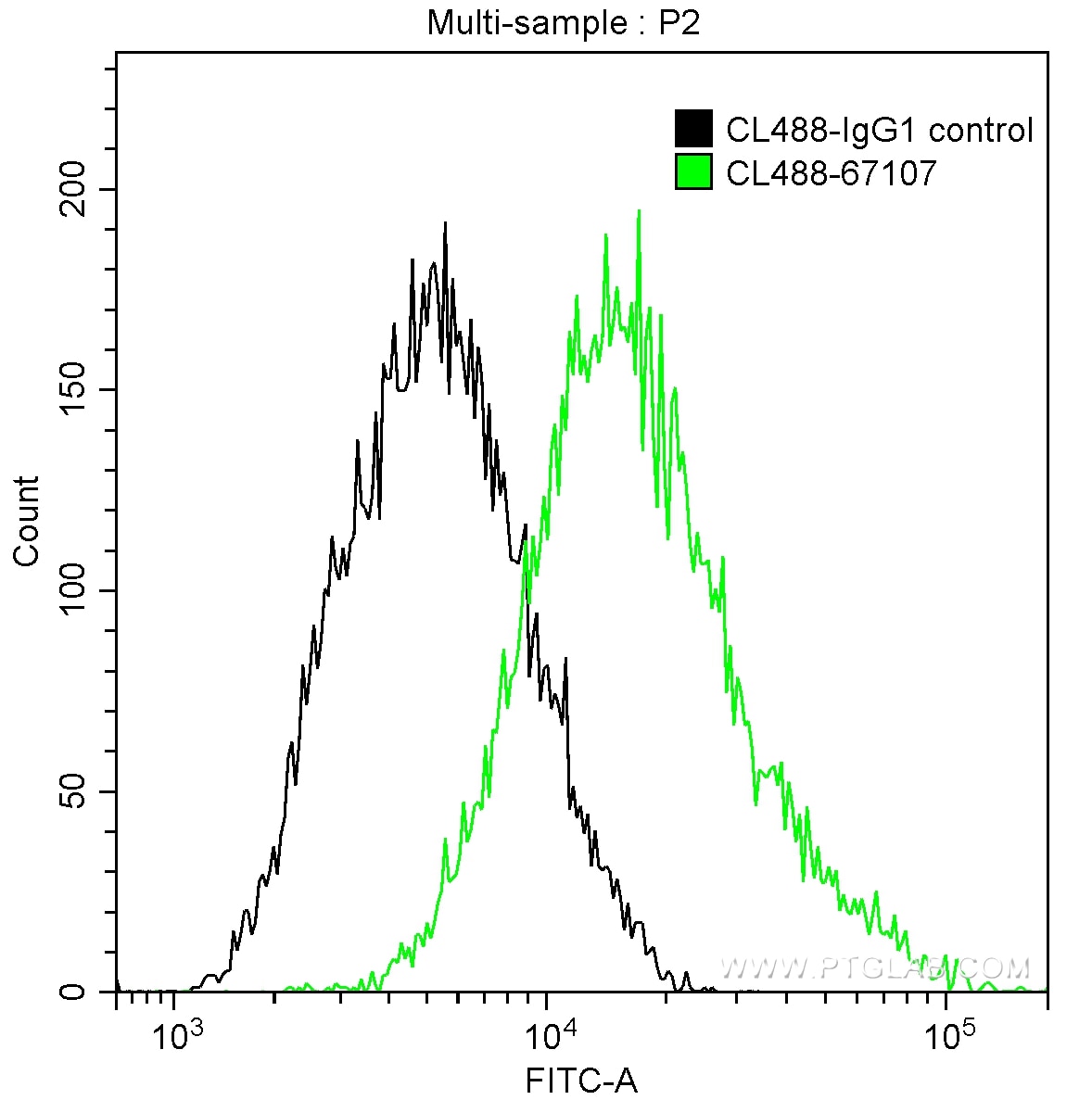 Flow cytometry (FC) experiment of HeLa cells using CoraLite® Plus 488-conjugated Calpastatin Monoclon (CL488-67107)