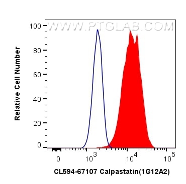 Flow cytometry (FC) experiment of HeLa cells using CoraLite®594-conjugated Calpastatin Monoclonal ant (CL594-67107)
