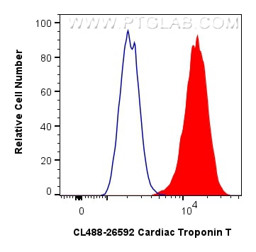 FC experiment of H9C2 using CL488-26592 Flow cytometry (FC) experiment of H9C2 cells using CoraLite® Plus 488-conjugated Cardiac Troponin T P (CL488-26592)