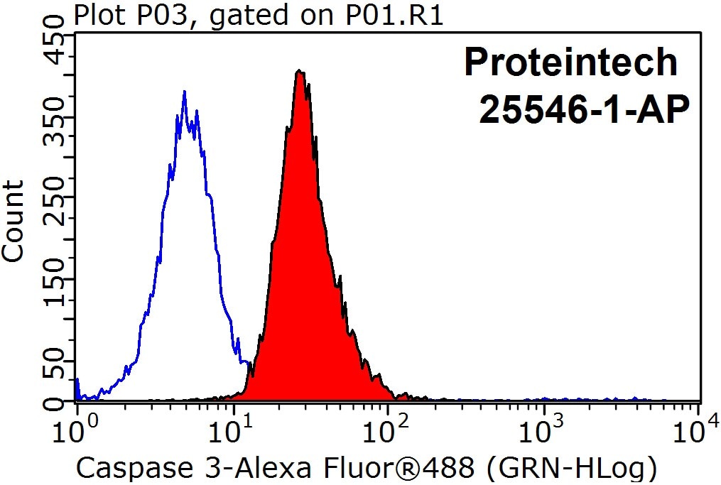 Flow cytometry (FC) experiment of HeLa cells using cleaved-Caspase 3 Polyclonal antibody (25546-1-AP)