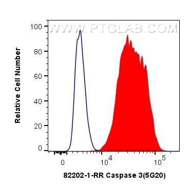 Flow cytometry (FC) experiment of HepG2 cells using Caspase 3 Recombinant antibody (82202-1-RR)