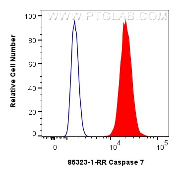 Flow cytometry (FC) experiment of HepG2 cells using Caspase 7 Recombinant antibody (85323-1-RR)