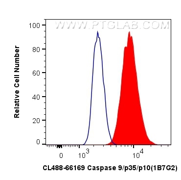 Flow cytometry (FC) experiment of HepG2 cells using CoraLite® Plus 488-conjugated Caspase 9/p35/p10 Mo (CL488-66169)