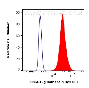 Flow cytometry (FC) experiment of HepG2 cells using Cathepsin D Monoclonal antibody (66534-1-Ig)