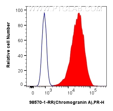 Flow cytometry (FC) experiment of SH-SY5Y cells using Anti-Human Chromogranin A Rabbit Recombinant Antib (98570-1-RR)