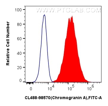 Flow cytometry (FC) experiment of SH-SY5Y cells using CoraLite® Plus 488 Anti-Human Chromogranin A Rabbi (CL488-98570)