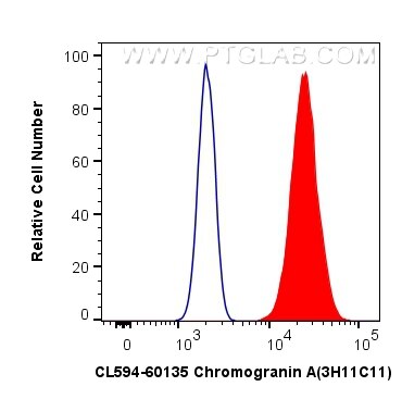 Flow cytometry (FC) experiment of Neuro-2a cells using CoraLite®594-conjugated Chromogranin A Monoclonal  (CL594-60135)