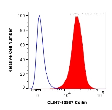 Flow cytometry (FC) experiment of Jurkat cells using CoraLite® Plus 647-conjugated Coilin Polyclonal an (CL647-10967)