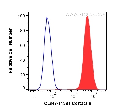 Flow cytometry (FC) experiment of HeLa cells using CoraLite® Plus 647-conjugated Cortactin Polyclonal (CL647-11381)