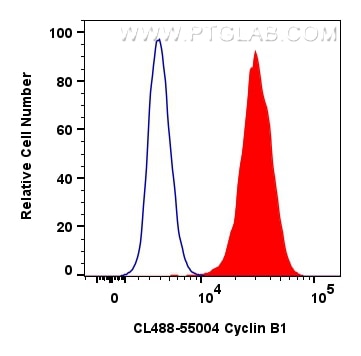 FC experiment of HeLa using CL488-55004