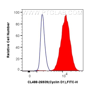 Flow cytometry (FC) experiment of MCF-7 cells using CoraLite® Plus 488-conjugated Cyclin D1 Polyclonal (CL488-26939)