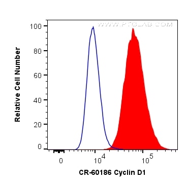 Flow cytometry (FC) experiment of HeLa cells using Cardinal Red™-conjugated Cyclin D1 Monoclonal anti (CR-60186)