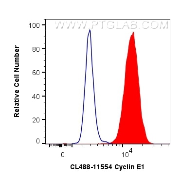 Flow cytometry (FC) experiment of HeLa cells using CoraLite® Plus 488-conjugated Cyclin E1 Polyclonal (CL488-11554)