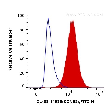 Flow cytometry (FC) experiment of HeLa cells using CoraLite® Plus 488-conjugated Cyclin E2 Polyclonal (CL488-11935)