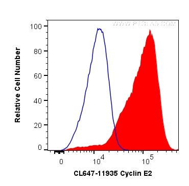 Flow cytometry (FC) experiment of HeLa cells using CoraLite® Plus 647-conjugated Cyclin E2 Polyclonal (CL647-11935)