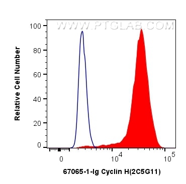Flow cytometry (FC) experiment of PC-3 cells using Cyclin H Monoclonal antibody (67065-1-Ig)