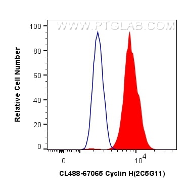Flow cytometry (FC) experiment of PC-3 cells using CoraLite® Plus 488-conjugated Cyclin H Monoclonal  (CL488-67065)