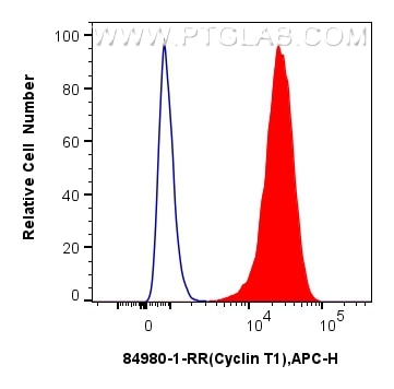 Flow cytometry (FC) experiment of MCF-7 cells using Cyclin T1 Recombinant antibody (84980-1-RR)