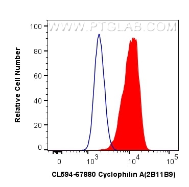 Flow cytometry (FC) experiment of HeLa cells using CoraLite®594-conjugated Cyclophilin A Monoclonal a (CL594-67880)