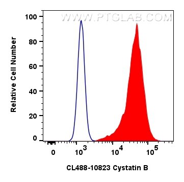 Flow cytometry (FC) experiment of MCF-7 cells using CoraLite® Plus 488-conjugated Cystatin B Polyclona (CL488-10823)