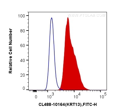 Flow cytometry (FC) experiment of A431 cells using CoraLite® Plus 488-conjugated Cytokeratin 13 Polyc (CL488-10164)